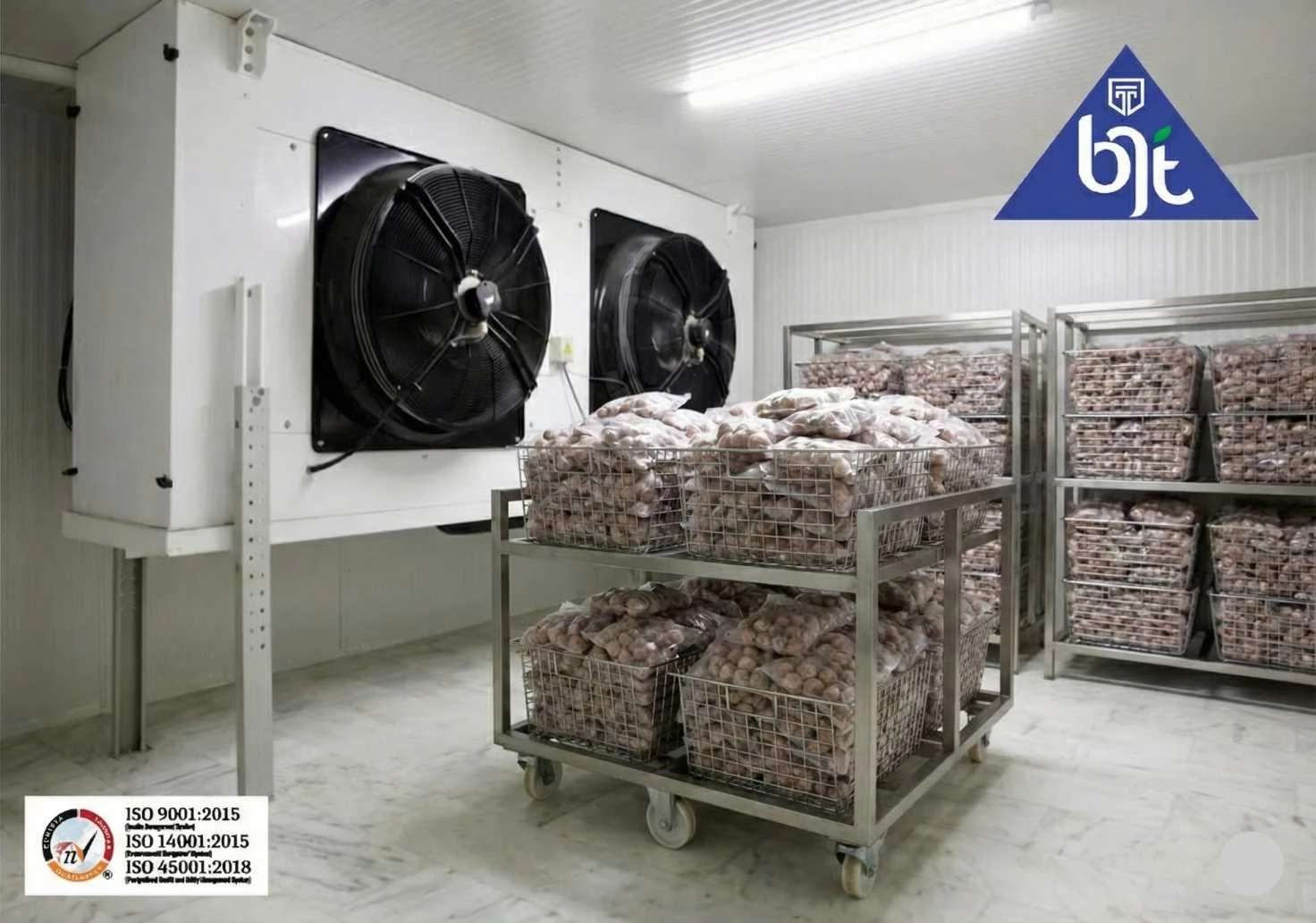 Mesin blast freezer indoor BJT